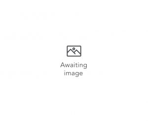 3 OR 4 Inch Double Washered Hinges, Polished Nickel (sold in pairs)