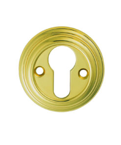 Delamain Euro Profile Escutcheon, Polished Brass
