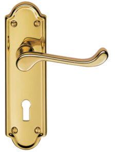 Ashtead Door Handles On Backplate, PVD Stainless Brass (sold in pairs)