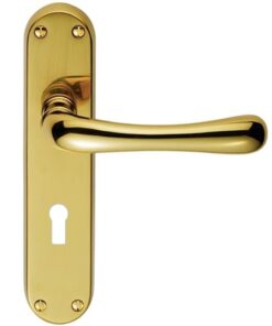 Manital Ibra Door Handles On Backplate, Polished Brass (sold in pairs)