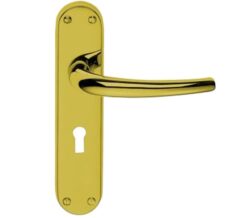 Manital Lilla Door Handles On Backplate, Polished Brass (sold in pairs)