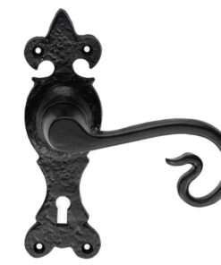 Ludlow Foundries Curly Tail Door Handles On Gothic Backplate, Black Antique (sold in pairs)