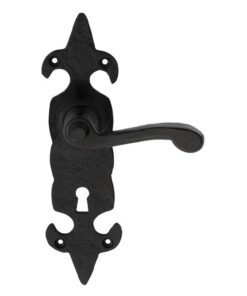 Ludlow Foundries Fleur De Lys Door Handles On Backplate, Black Antique (sold in pairs)