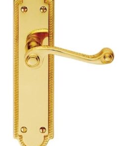 Georgian Shaped Polished Brass Door Handles (sold in pairs)