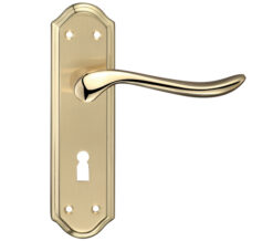 Lincoln Door Handles On Backplate, Dual Finish Satin Brass & Polished Brass  (sold in pairs)