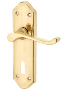 Sherborne Door Handles On Backplate