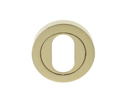 Oval Profile Escutcheon, PVD Stainless Brass