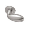 Paja Club Door Handles On Round Rose