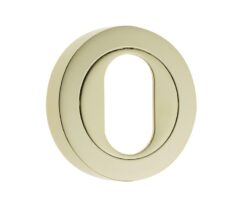 Frelan Hardware Oval Profile Escutcheon, PVD Stainless Brass