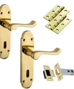 Door Handles on Backplate - Polished Brass