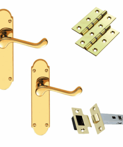 Door Handles on Backplate - Polished Brass